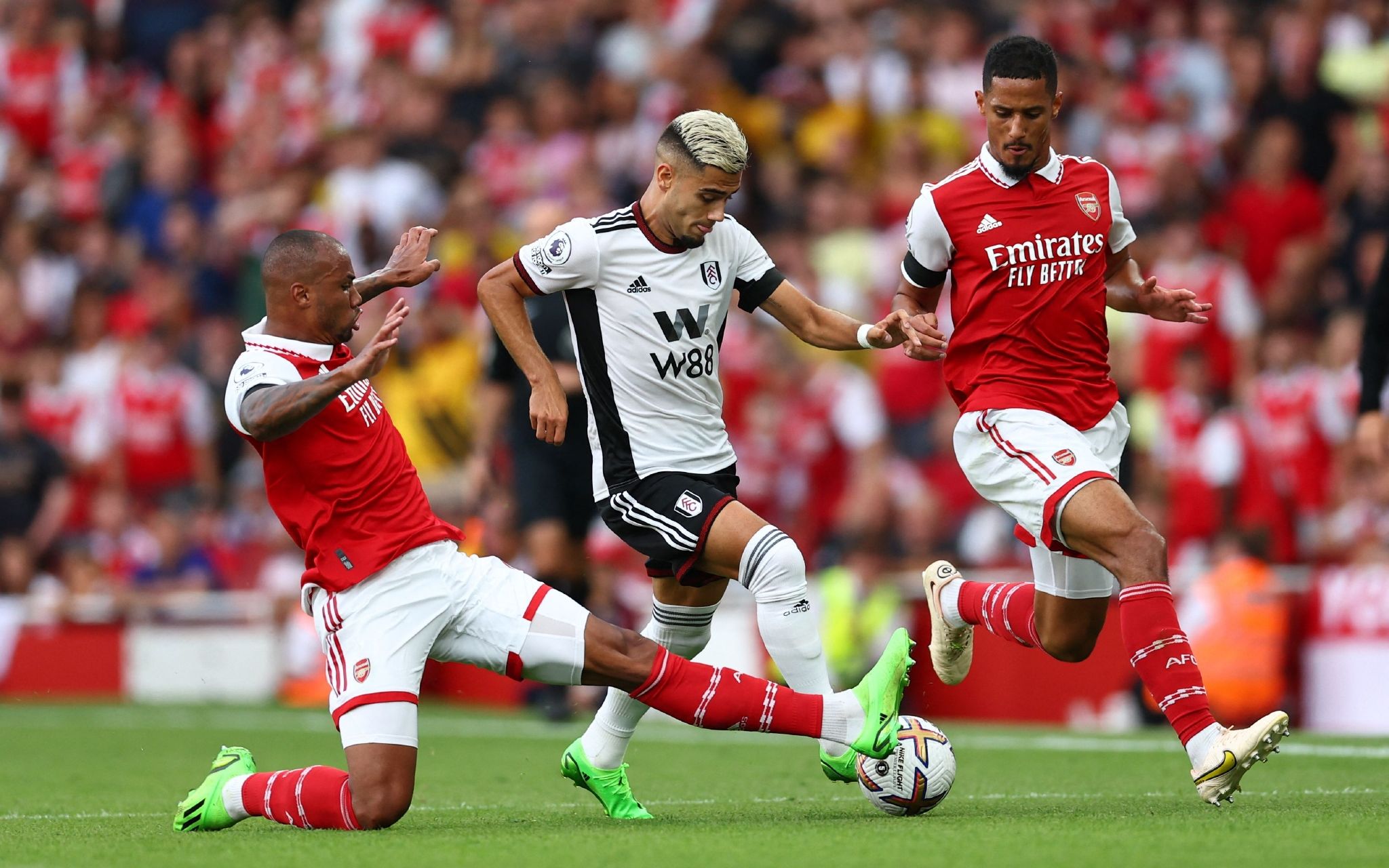 这让人们看 这让人们看